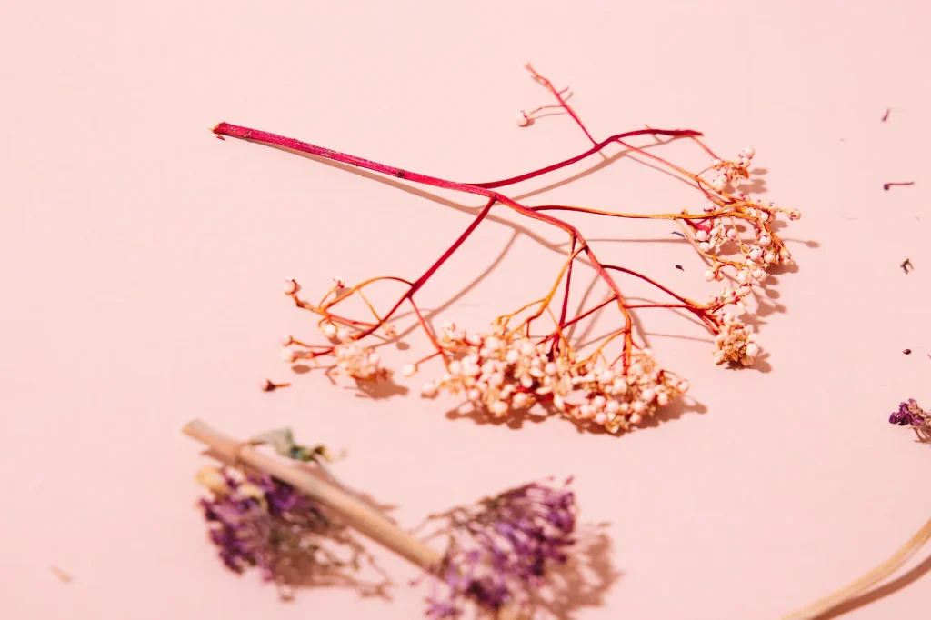 Dried flowers
