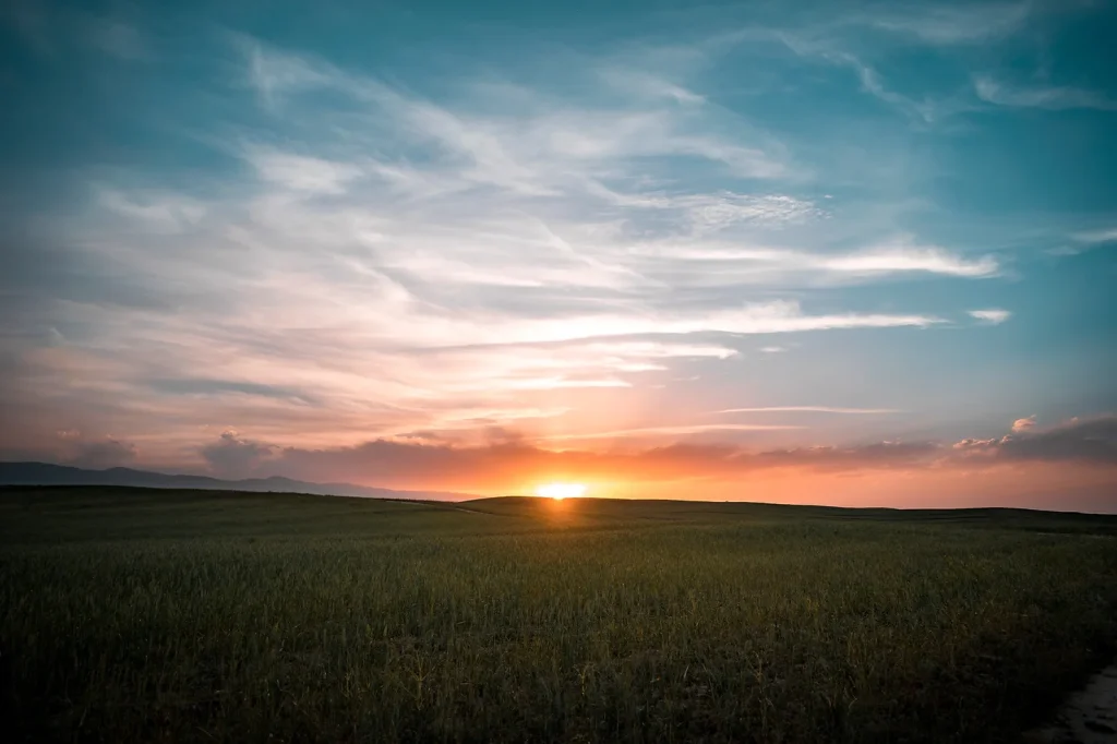 sunset over field