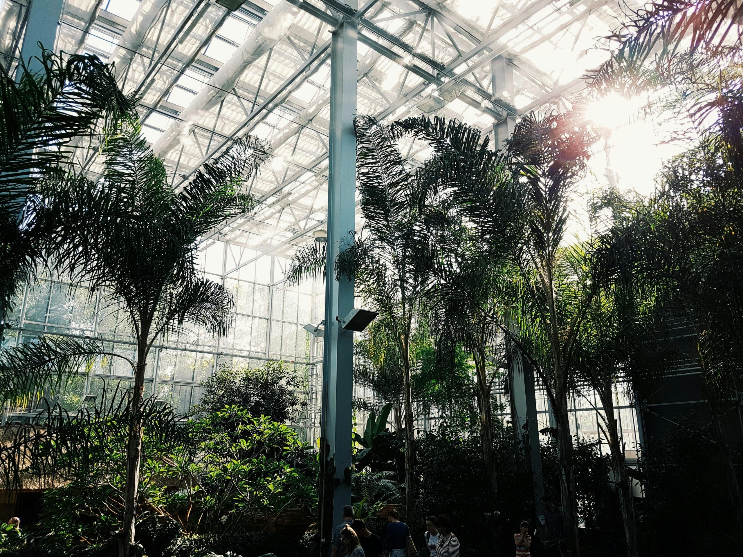 botanical garden
