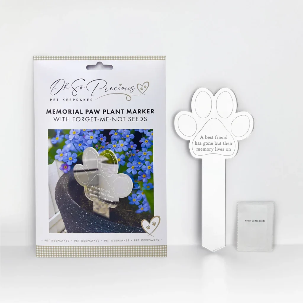 forget-me-nots and planter for dog grave