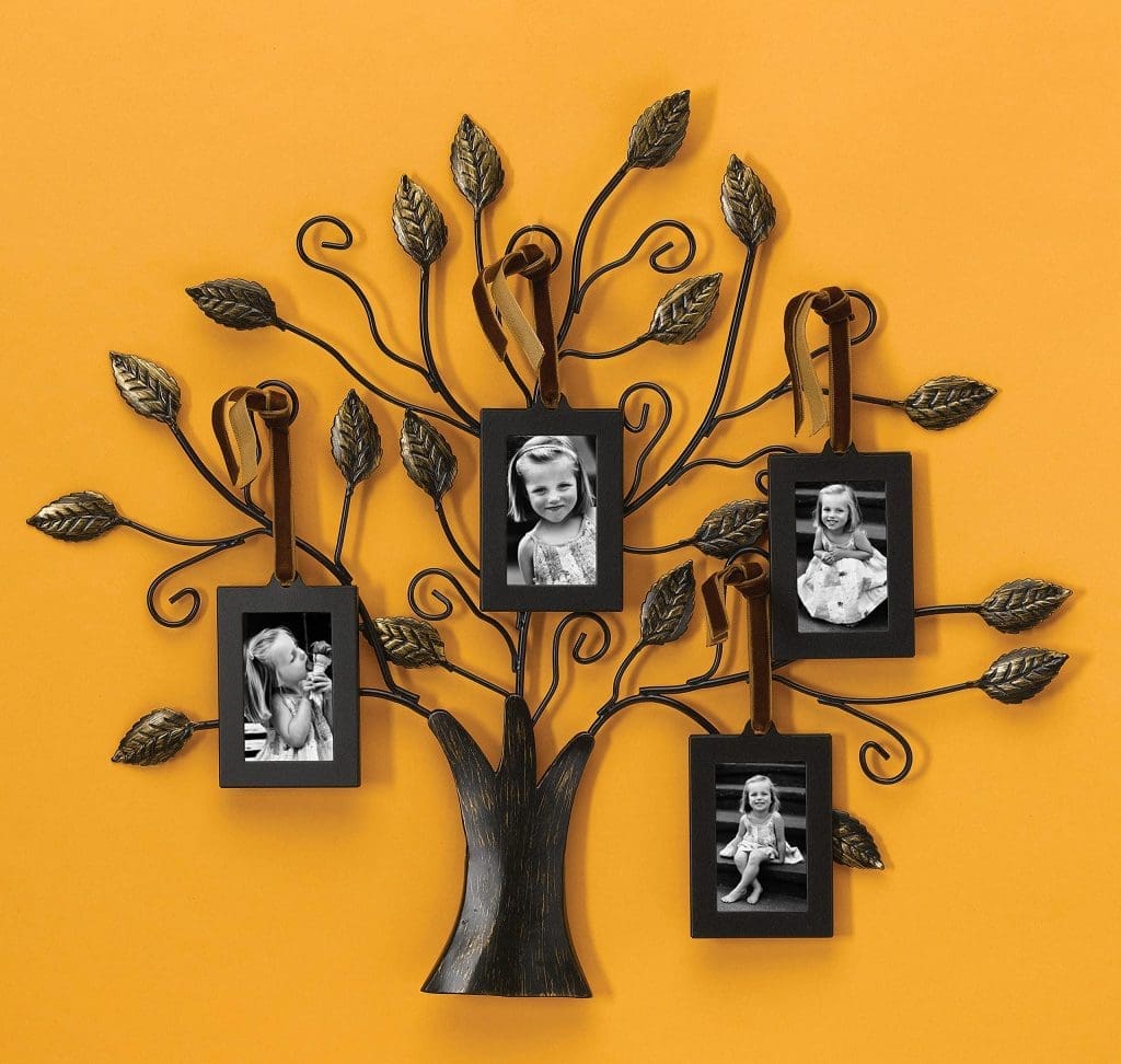 tree of life photo display
