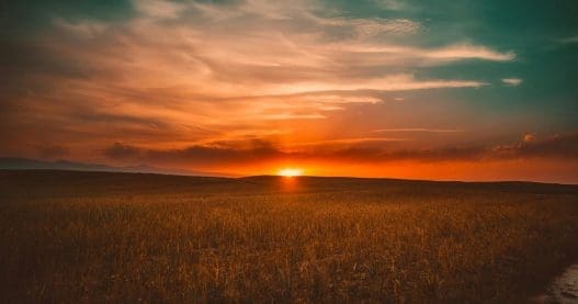 songs for a baby's funeral