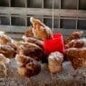 nesting box ideas