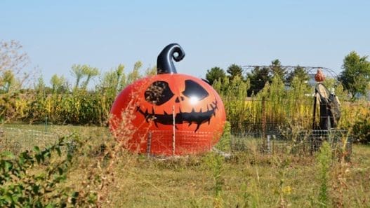 outdoor halloween decor