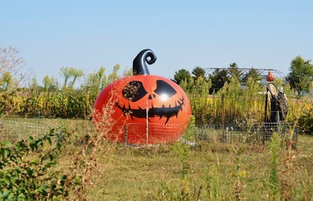 outdoor halloween decor